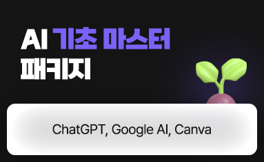 AI 기초 마스터 패키지